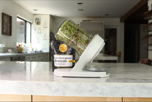 Sprouting Science with Dr. Jed Fahey: How Broccoli Sprouts Help Your Body Fight Cancer