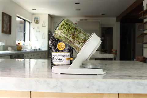 Sprouting Science with Dr. Jed Fahey: How Broccoli Sprouts Help Your Body Fight Cancer