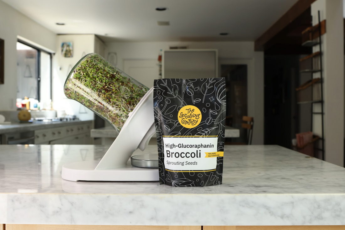 Sprouting Science with Dr. Jed Fahey: How Broccoli Sprouts May Help Protect Your Brain