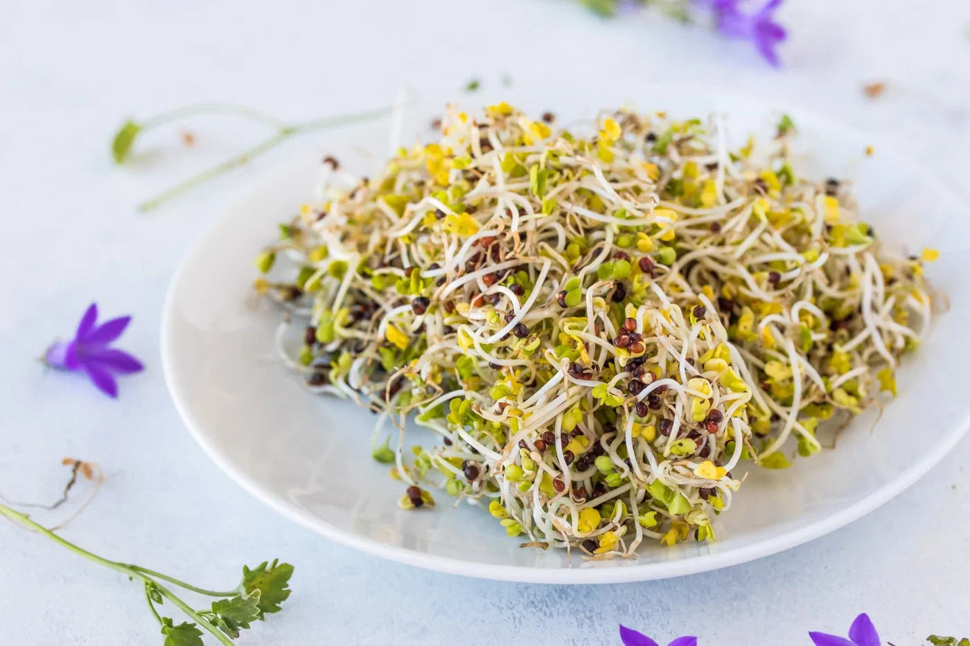 The Science Behind Broccoli Sprouts: Unlocking the Power of Glucorapha – The Sprouting Company