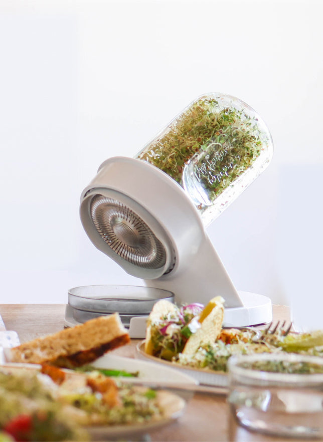 Starter Bundle: Broccoli High-Glucoraphanin (Non-GMO) 8oz
