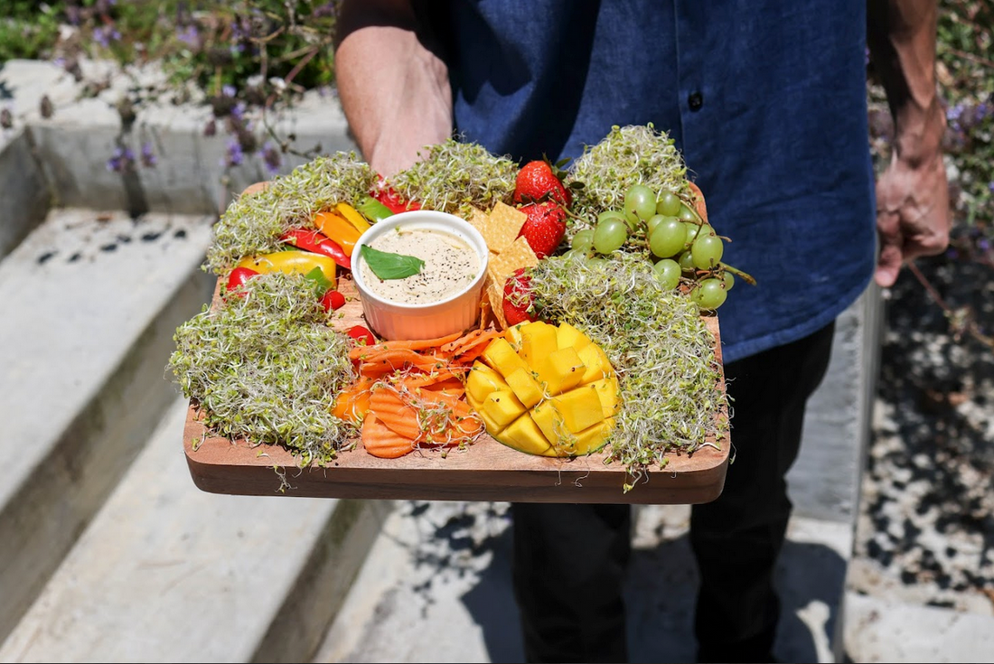 The Future of Microgreens: Insights from Zi Teng's Research