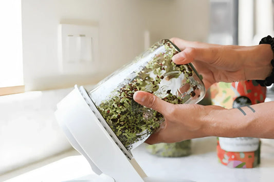 Top Sprouting Tips