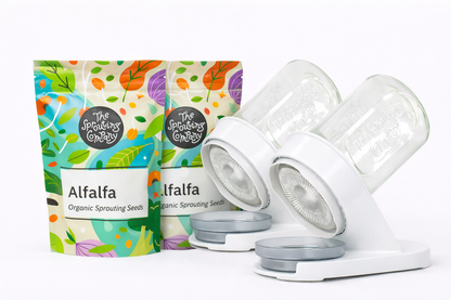 Organic alfalfa seeds with dual sprouter