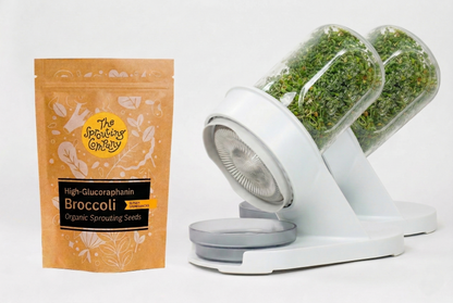 Broccoli seeds bag with growing sprouts