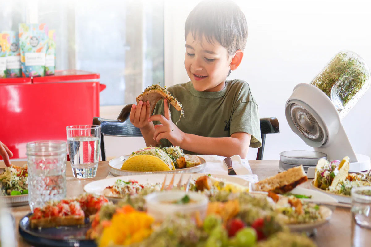 Starter Bundle: Organic Broccoli – The Sprouting Company