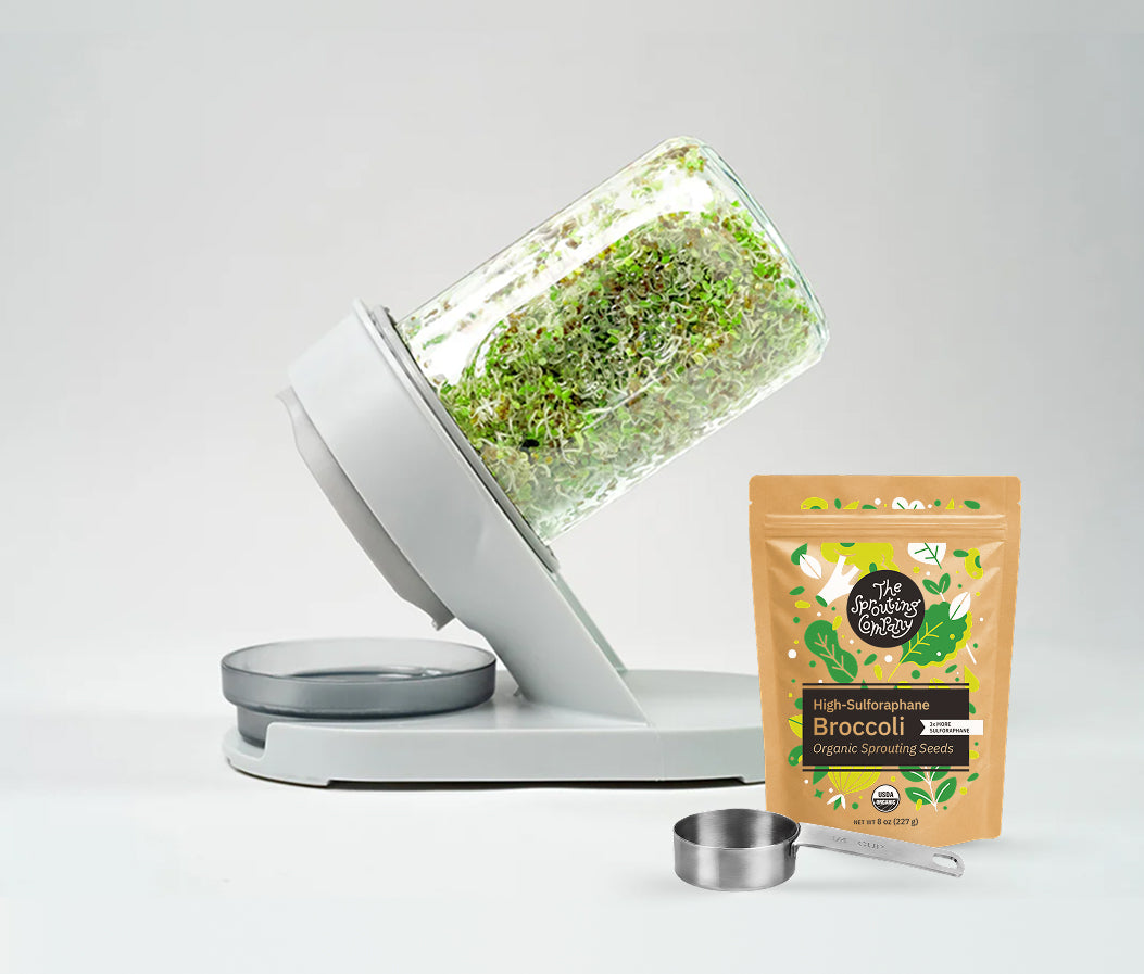 The Starter Kit: one sprouter plus an 8oz broccoli seed pouch