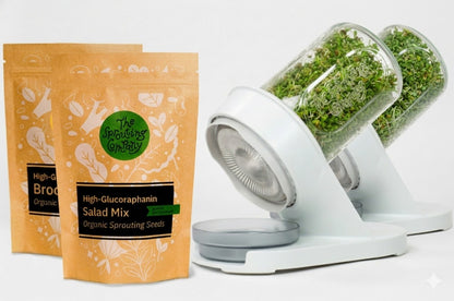 Glucoraphanin salad mix with fresh sprouts