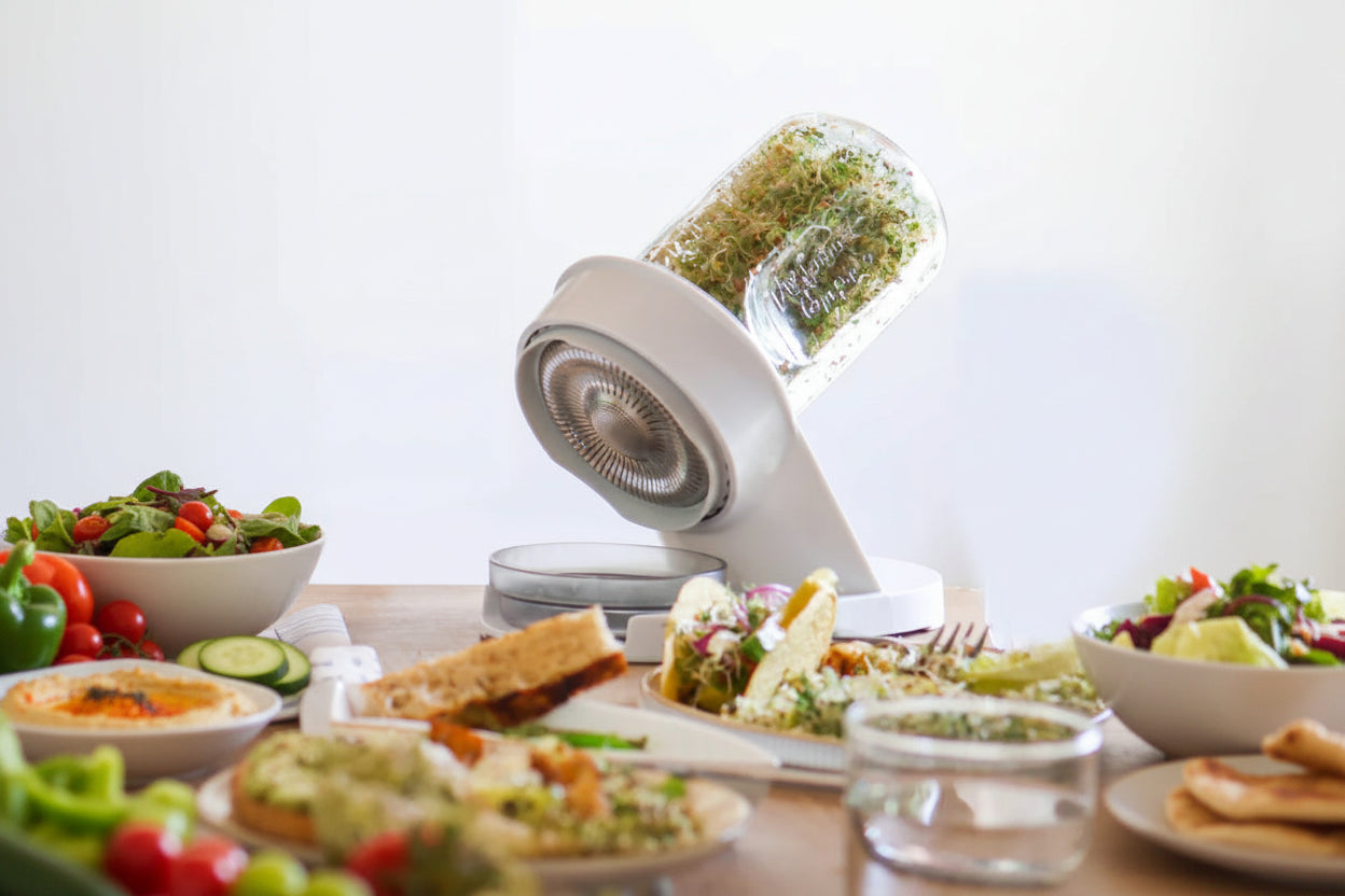 Glass sprouter jar with fresh meal spread