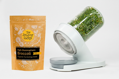 Broccoli seeds pack with glass sprouter product