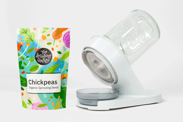 Starter Bundle: Organic Chickpea – The Sprouting Company