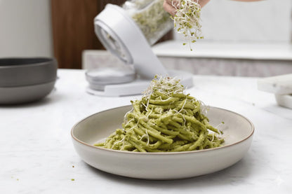 Fresh sprouts garnishing green pasta dish