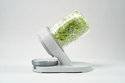 Glass sprouter side view with fresh sprouts