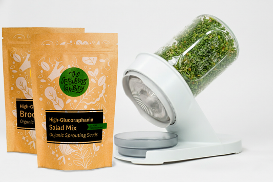 High-glucoraphanin hero bundle sprouter and seeds