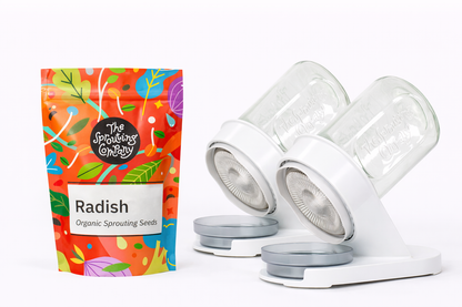 Organic radish seeds with dual sprouter