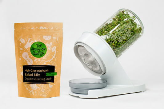 Salad mix seeds pack with glass sprouter