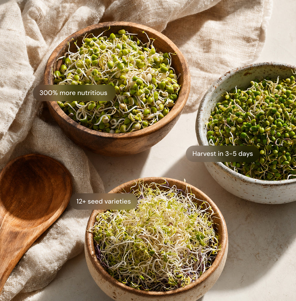 Three wooden bowls filled with green sprouts arranged on a light stone surface with a beige linen cloth and a wooden spoon. Text labels reading 'Benefit-callout' appear over each bowl.